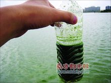 水中的悬浮物